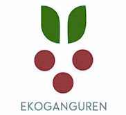 Ekoganguren